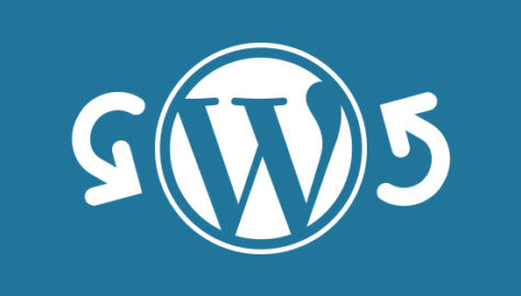 Best Way to do WordPress Redirect ↪ – WordPress Hacks