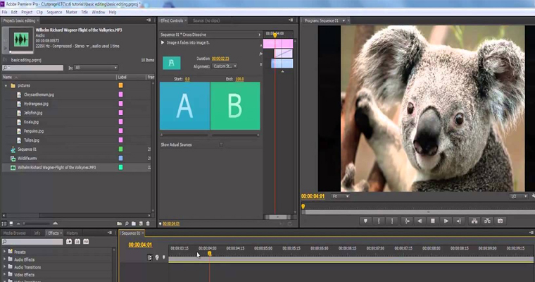 Adobe Premiere Pro  Video Editing Software