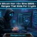 Best Bitcoin Non Vbv Bins 2026 – The Ranges That Slide For Crypto